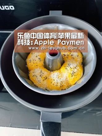 乐鱼中国体育|苹果最新科技:Apple Payment 支付功能(图1) 乐鱼体育