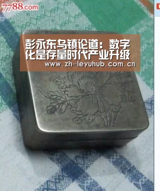 彭永东乌镇论道:数字化是存量时代产业升级的最大机会【乐鱼网站】(图2) 乐鱼LEYU