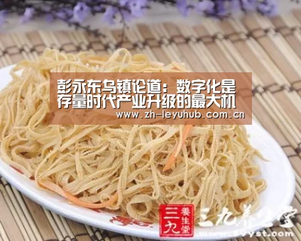 彭永东乌镇论道:数字化是存量时代产业升级的最大机会【乐鱼网站】(图3) 乐鱼中国体育