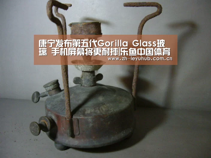 乐鱼体育