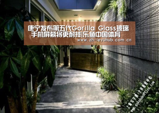 乐鱼体育