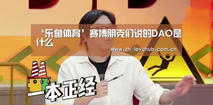 ‘乐鱼体育’赛博朋克们说的DAO是什么(图3) 乐鱼中国体育
