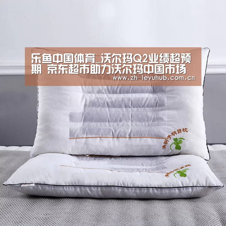 乐鱼中国体育_沃尔玛Q2业绩超预期 京东超市助力沃尔玛中国市场全渠道迅猛增长(图3) 乐鱼LEYU