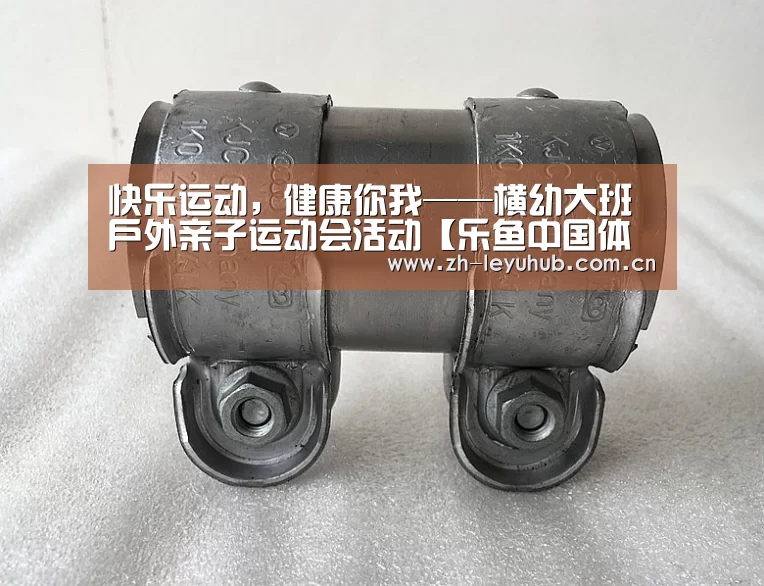 乐鱼网站