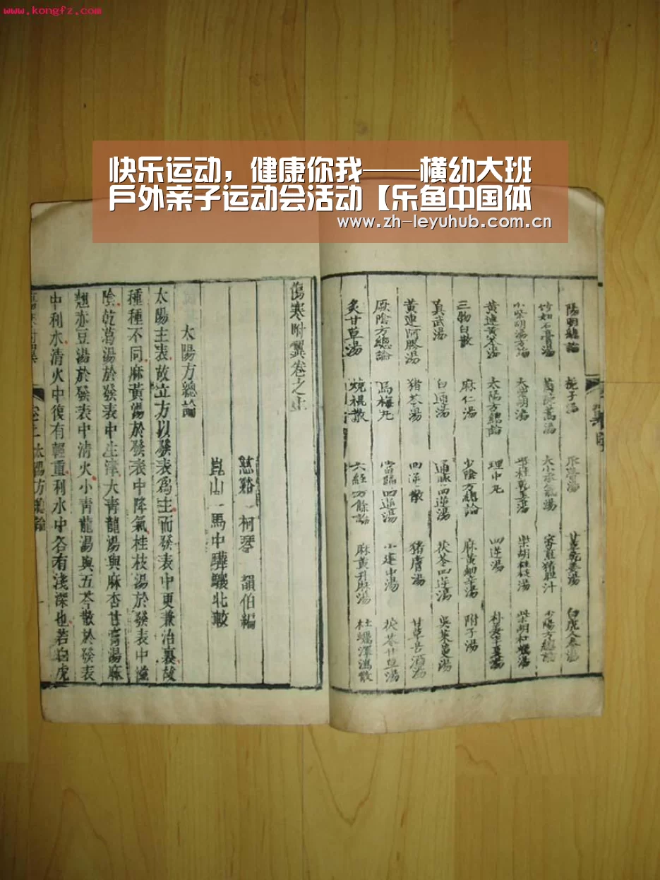 乐鱼体育
