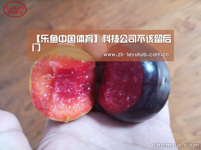 【乐鱼中国体育】科技公司不该留后门(图3) 乐鱼网站